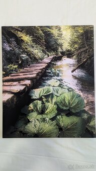 Fotoboraz zo Slovenského raja Tomášovská Belá - 2