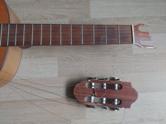 Klasicka gitara 'spanielka' Cremona Luby - 2
