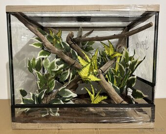 Zariadené terárium 60x45x50 - 2