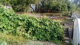 Záhrada Banská Bystrica - 2