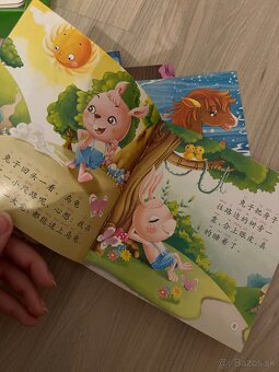 Čínština úcebnice, knihy, flashcards - 2