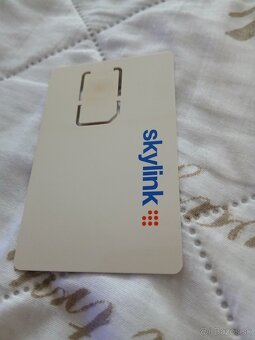 Skylink karta irdeto - 2