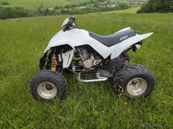 Dinli quadzilla 450 - 2