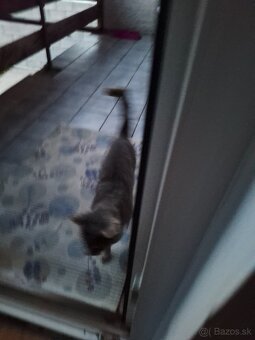 Predam tento polnohospodársky stroj - 2