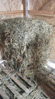 Predam senovú zmes - 2