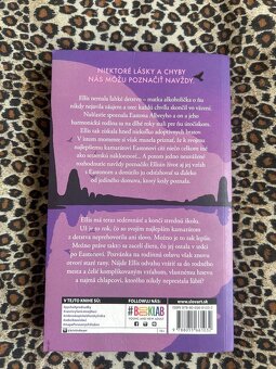 Most cez rieku chýb - Kristin Dwyer - 2