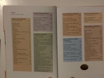 Masáže drahými kameny-Michal Gienger - 2