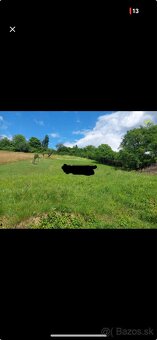 Predám pozemok - 2