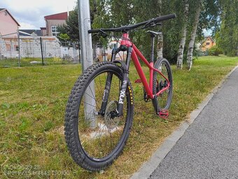 Pells Root 1 - veľ. M - 2