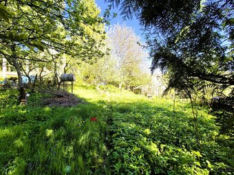 Predaj// záhrada nad kúpaliskom Handlová// 501 m² - 2