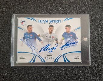 Futbalové kartičky Slovenskí Sokoli 2024 - 2