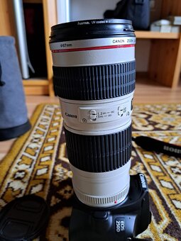 Canon EF 70-200 mm f/4 L USM - 2