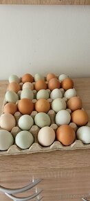 Domáce čerstvé vajíčka - 2