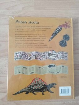 Katie Scott - Príbeh života Evolúcia - 2