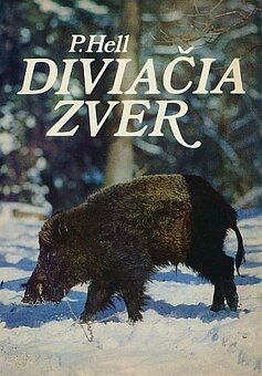 Poľovníctvo - 2