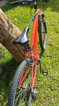 Bicykel pre 13rocne dieta - 2