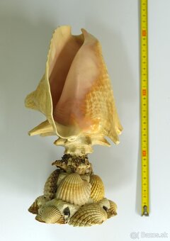 Socha ALEBO lampa z mušle - 2