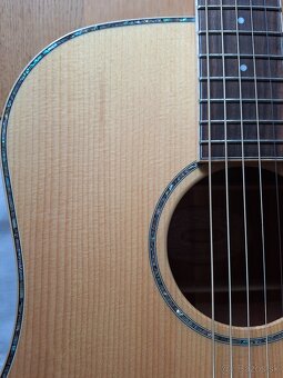 Akusticko-elektrická gitara Washburn - 2