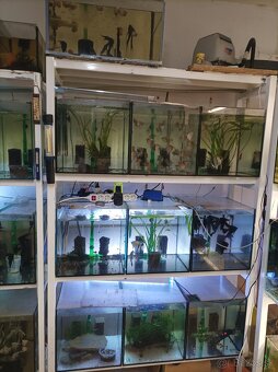 Predám stojky s akvariami - 2