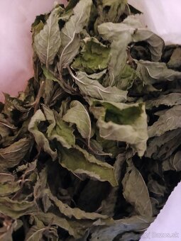 Liečivé bylinky - 2