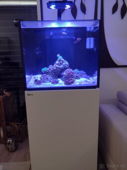RedSea Reefer 170 - 2