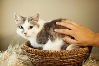 ❤ Johanka - tichá, vďačná a dobrá - 2