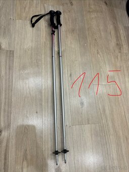 Lyžiarske palice - 2