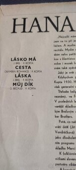 sp malé platne sk-cz - 2