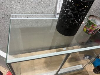 Terrarium, terarium - 2