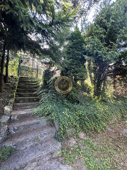 ZNÍŽENÁ CENA Na predaj pozemok s chatkou v Trstíne časť Ras - 2