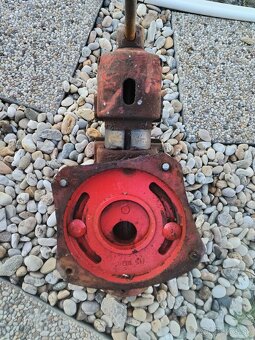 Zverák YORK 150 - 2