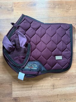 Kentaur JQ plstenka + ušaňa - 2