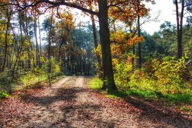 Pozemky pri vode Pieskovna - 2