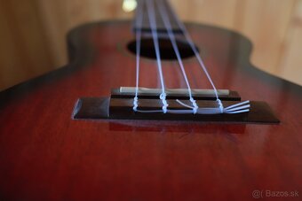 Elektro akustické ukulele - 2