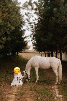 Slovenský športový pony- znížená cena ❗️❗️ - 2