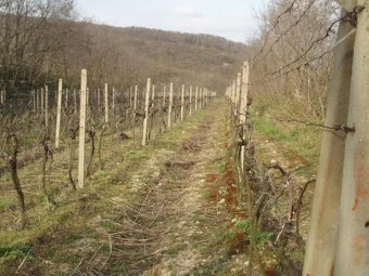 Investičný pozemok Krasňany BA III. - 2