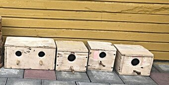 Predam budky pre vtačiky - 2