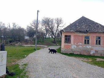 Pozemok na predaj v Budikovanoch - 2