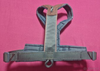 Postroj Non-stop Line 5.0 Teal veľ. 3 - 2