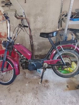 Babetta - 2