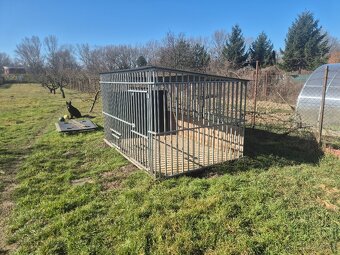 Voléria pre psa - 2