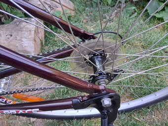 Cestny bicykel - 2
