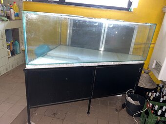 Predám rohové akvárium/terárium 420L - 2