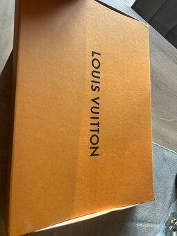 Louis Vuitton LV satka - 2