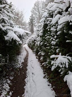 Chalupa Banicky domcek - 2