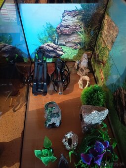 Akvárium - 2