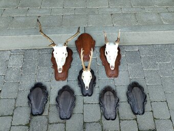 Podložky pod trofeje - 2