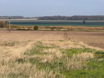 Predám dva pozemky v Košolnej - 2