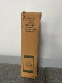 Atlas rastlín a lesných plodov - 2