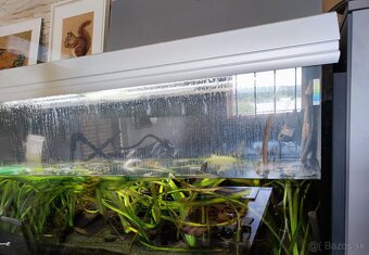540L akvárium, hrúbka skla 12mm, hliníkový kryt, 150x60x60 - 2